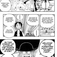 one piece 246