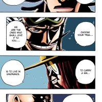 one piece 246