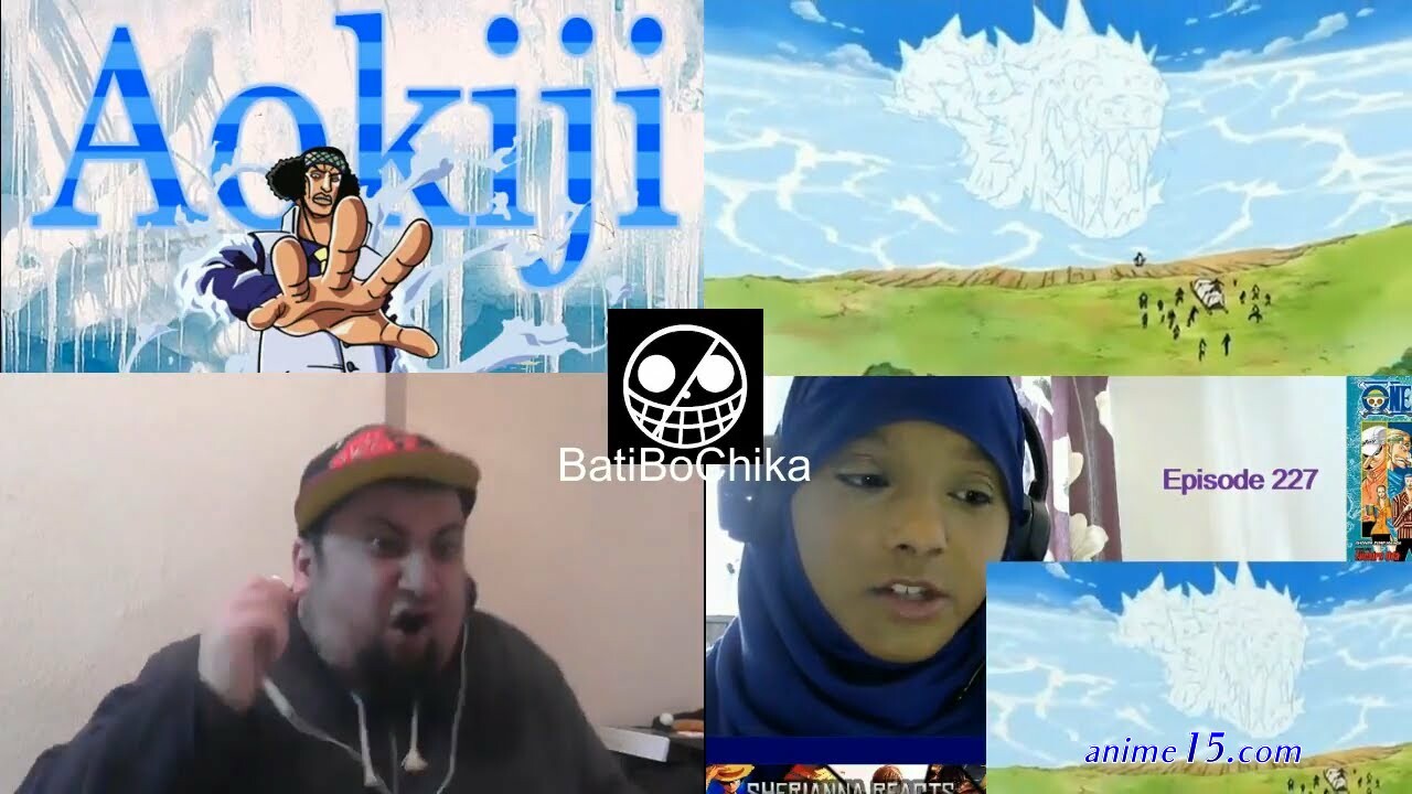 capitulo 227 de one piece