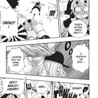 one piece 246
