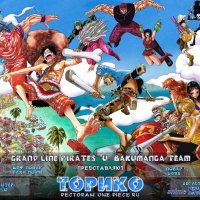 one piece 246
