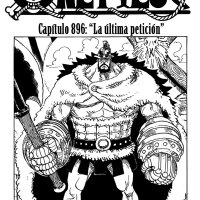 ver one piece 896