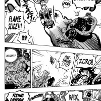 ver one piece cap 1002