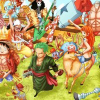 ver one piece cap 1002