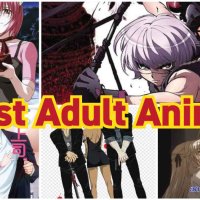 adult anime 480p series