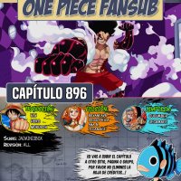 ver one piece 896