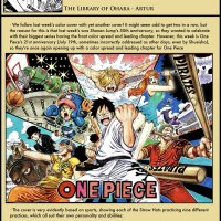 one piece 912