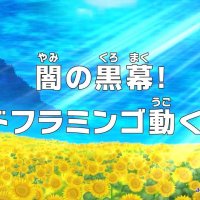 one piece 608
