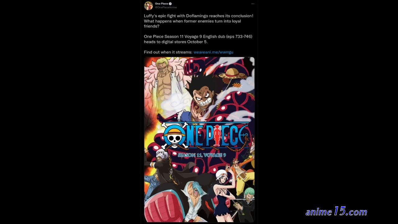 one piece dub episode 733