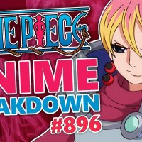 one piece full episode 896