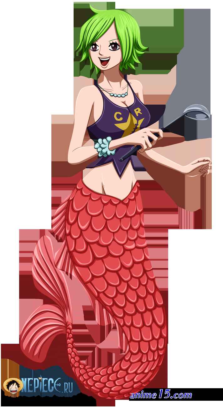one piece 608