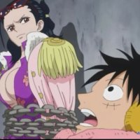 one piece episode 599