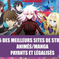 vosfr animé télécharger