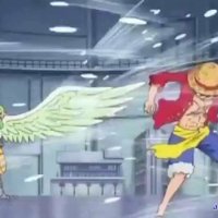 one piece 608