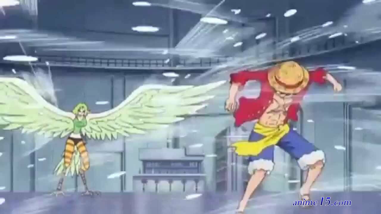 one piece 608