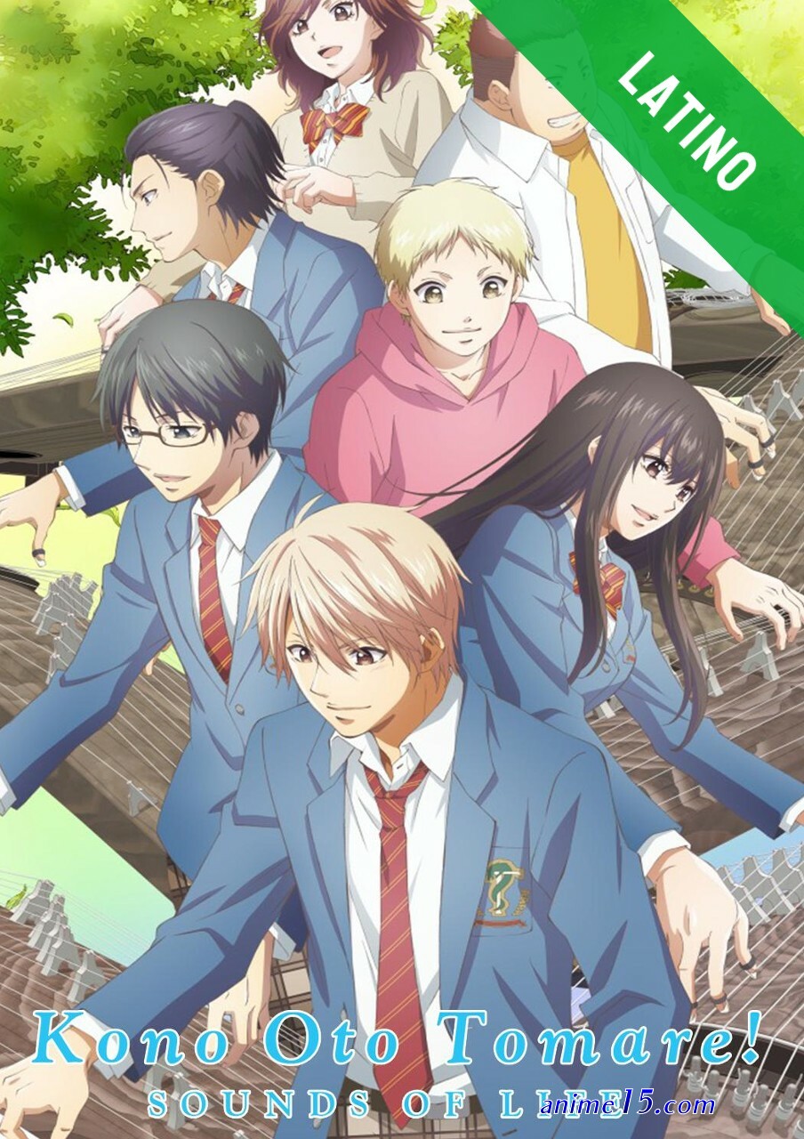 ver anime online en hd sub español latino gratis animelhd