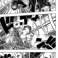 one piece cap 895