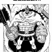 one piece cap 895