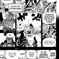 one piece cap 895