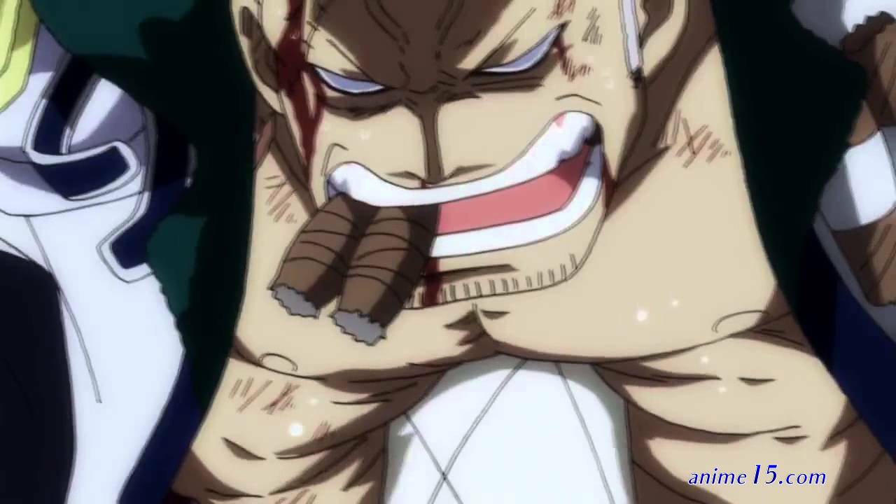 one piece episode 616 dub