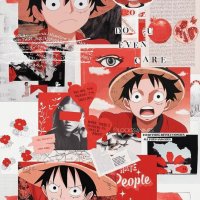 one piece vf 70