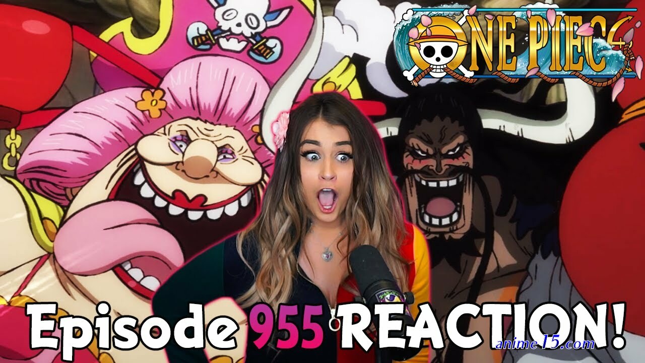 one piece english dub ep 417