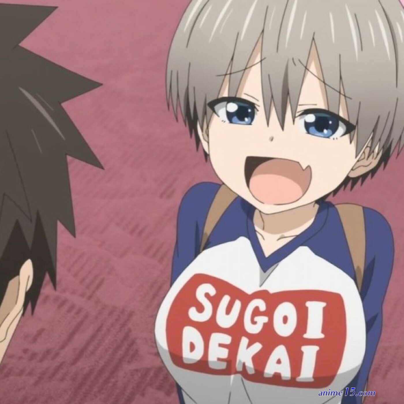 descargar temporada 1 de anime uzaki chan