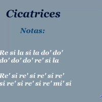 dulces cicatrices