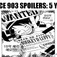 one piece 903