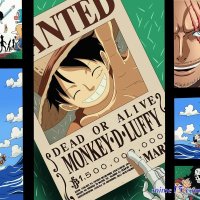 one piece 903