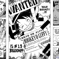 one piece 903