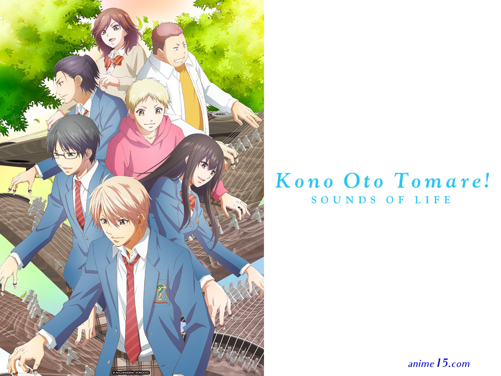 kono oto tomare