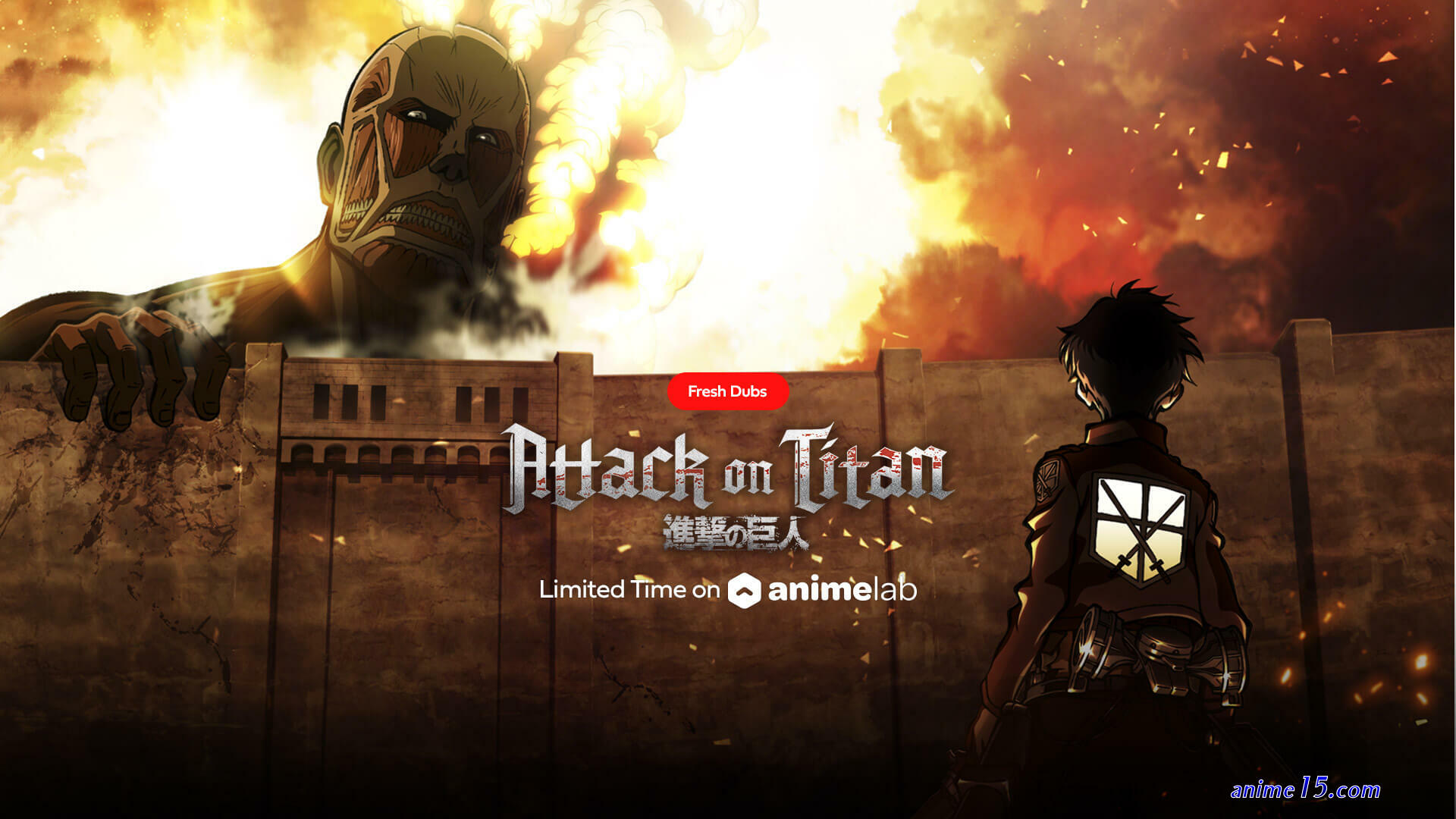 attack on titan ggogoanime dub
