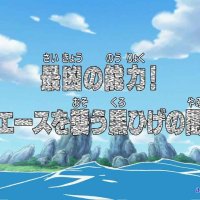 one piece ep 325