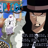 one piece ep 256