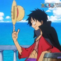 one piece ep 256