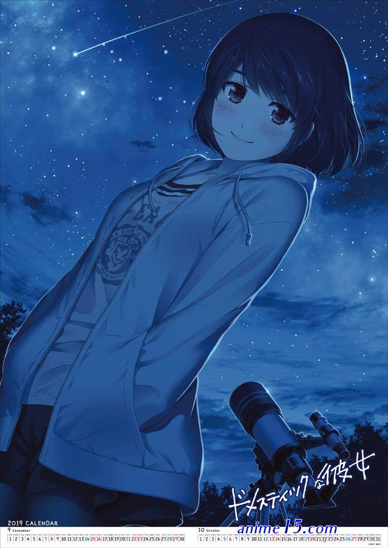 anime 18 domestik na kanojo