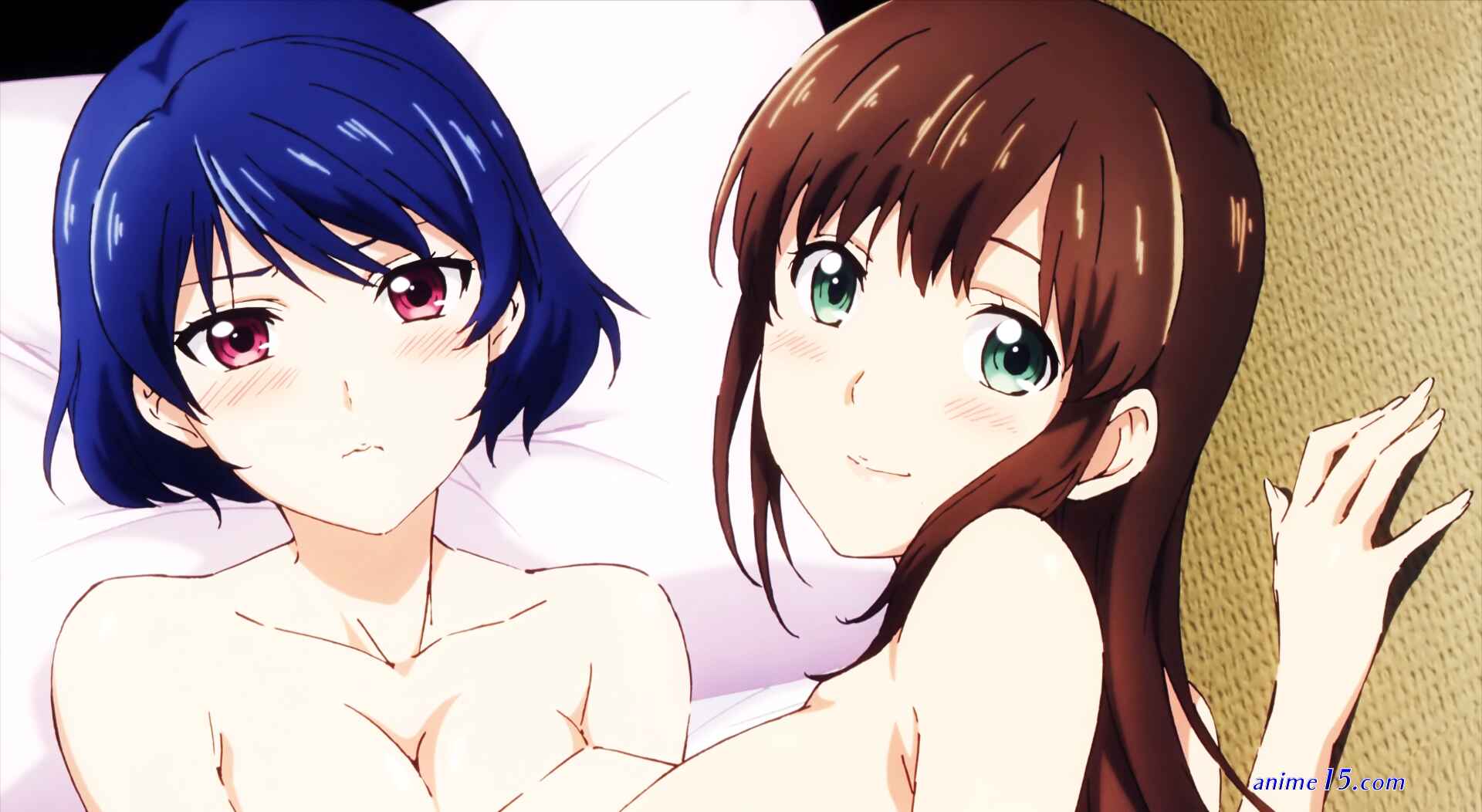 anime 18 domestik na kanojo