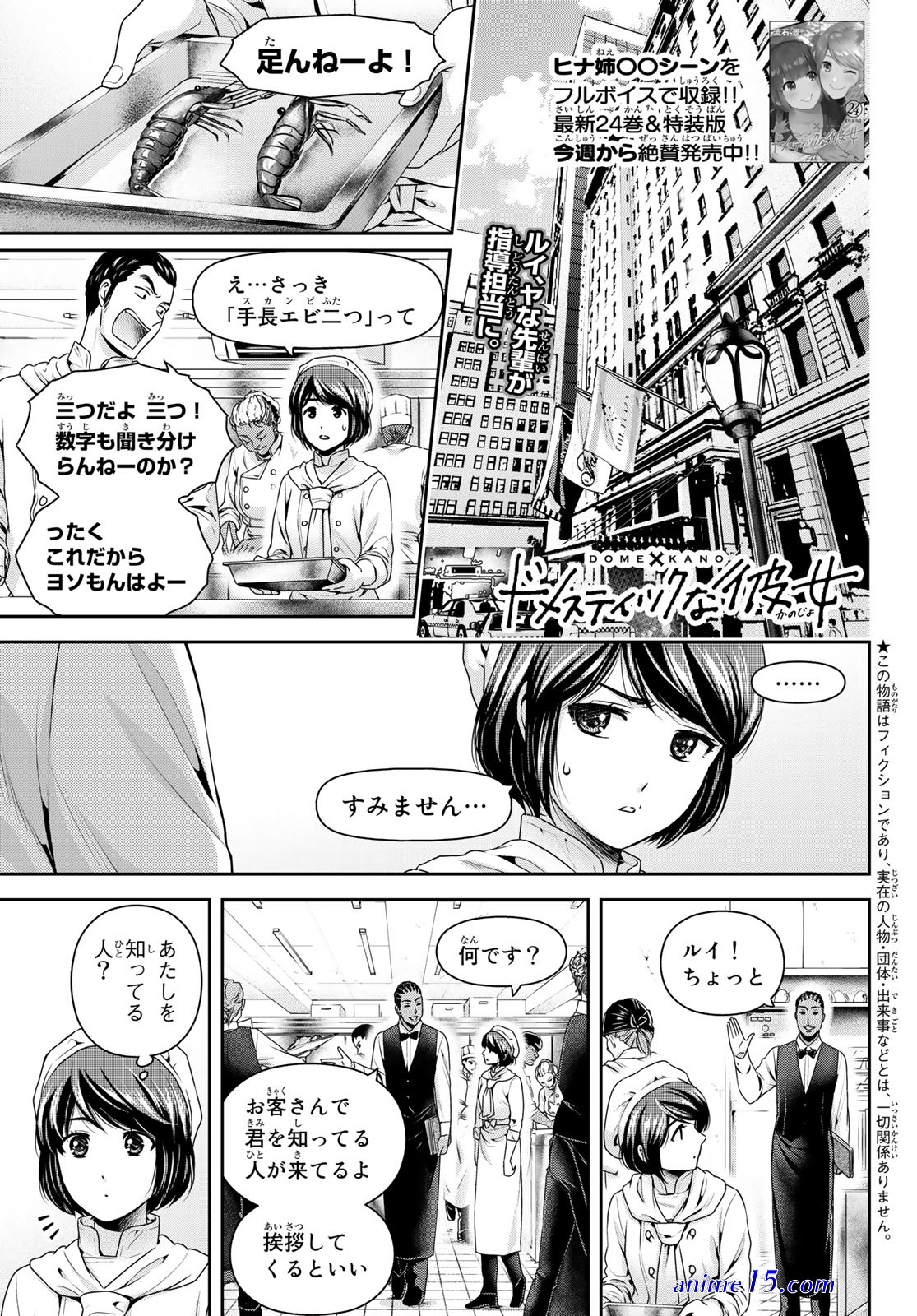 anime 18 domestik na kanojo