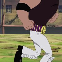 one piece ep 325