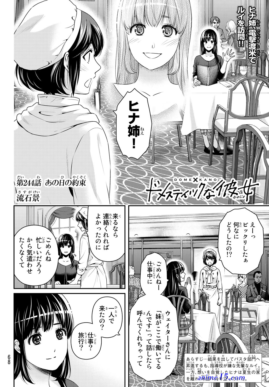 anime 18 domestik na kanojo