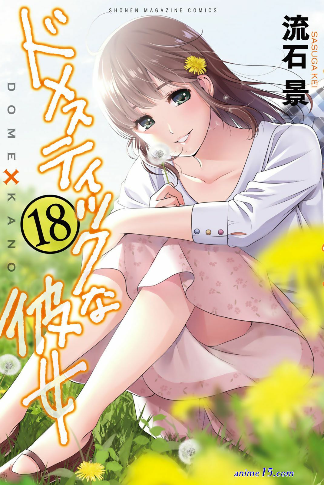 anime 18 domestik na kanojo