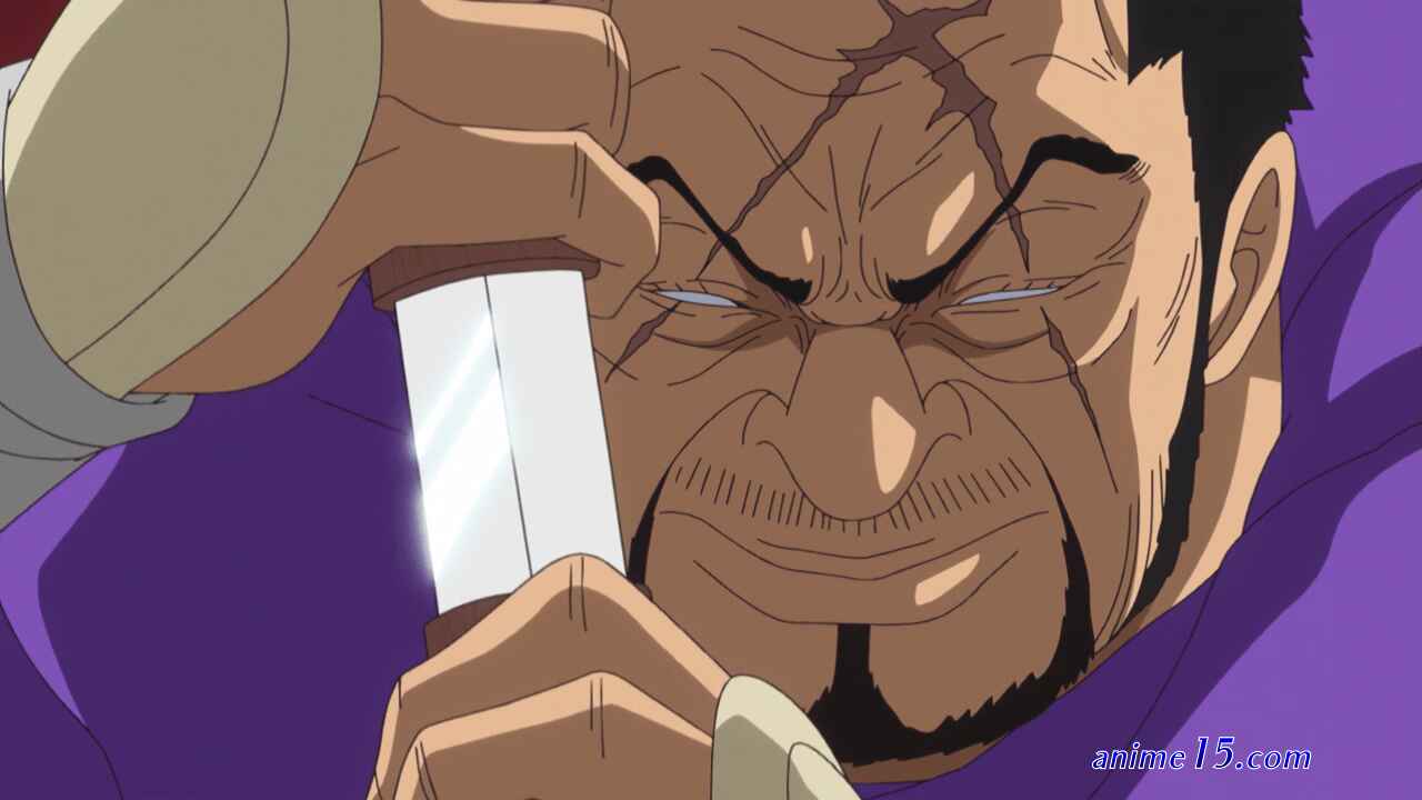 one piece ep 325
