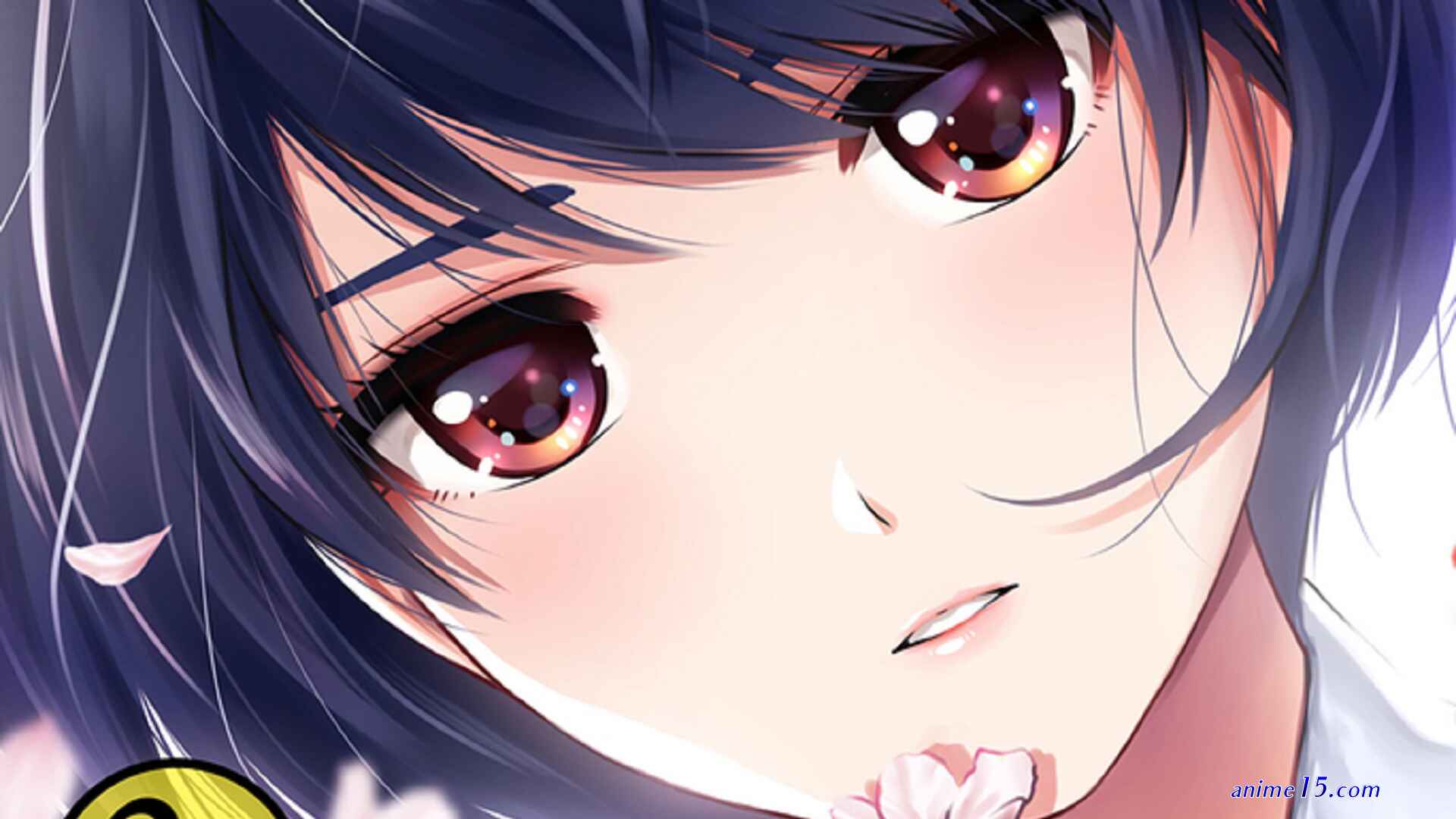anime 18 domestik na kanojo