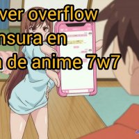 over flow sin sensura