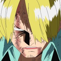 voir anime one piece 306 vostfr