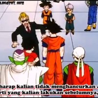 dbz episode 209