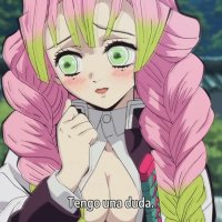 animeflv kimtsu