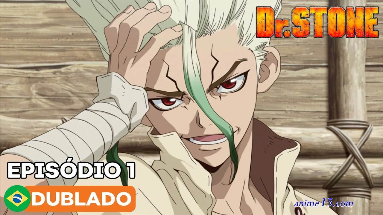 dr stone dublado completo animezeira