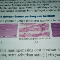 dimanapun dan kapanpun otot nomor 1 el ch 3